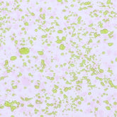 CD2 Transparent Laxani Dots - WILTON PATISSERIE